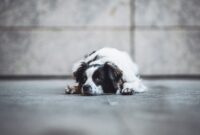 A low-angle shot of a black and