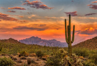Sunset in the Sonoran Desert near Phoenix,