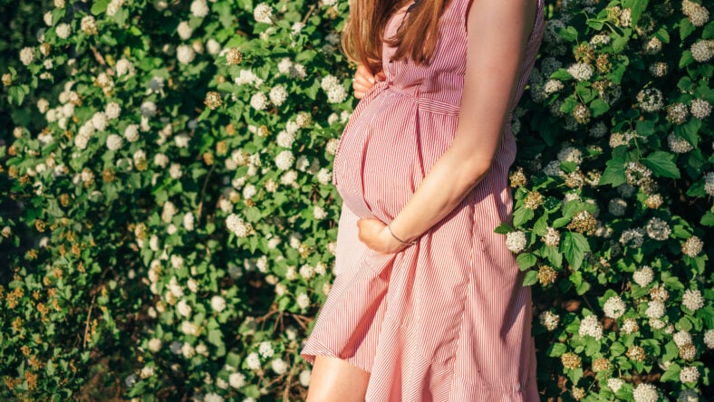 Pregnant woman's belly close up, without her
