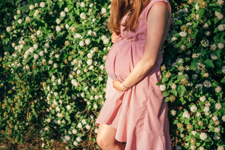 Pregnant woman's belly close up, without her