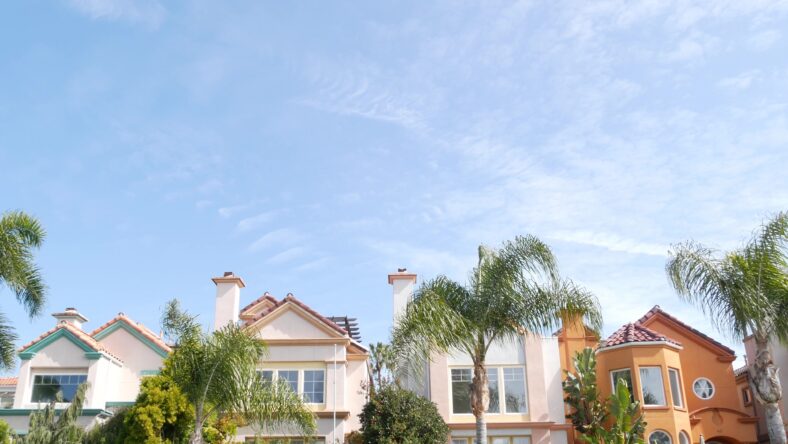 California typical suburban street, tropical Oceanside USA.