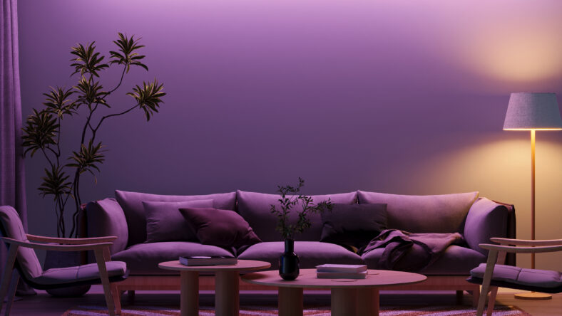 Modern living room with elegant furniture and