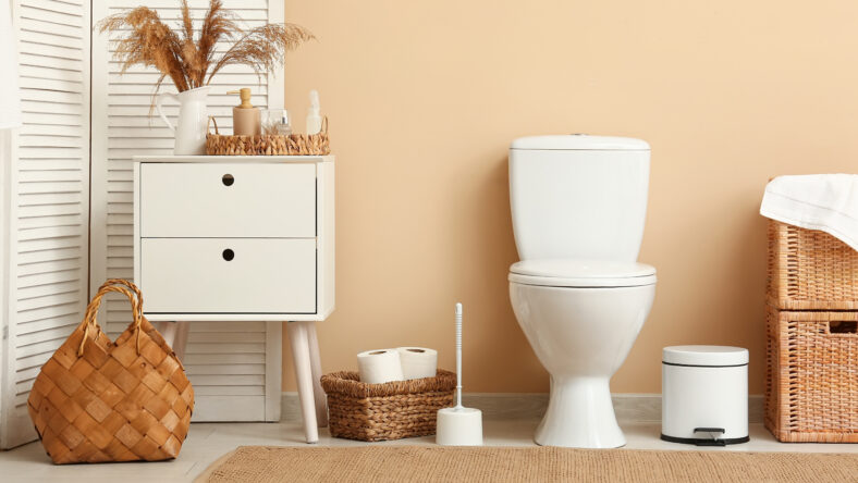 Modern bathroom interior design with white toilet, wooden furniture, and natural decor elements
