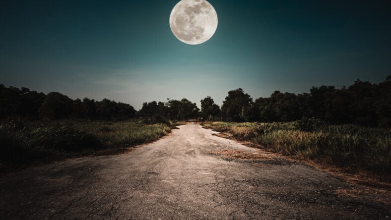 Landscape of night sky and bright full moon above wilderness area. Asphalt road leading into the forest at night. Serenity background.