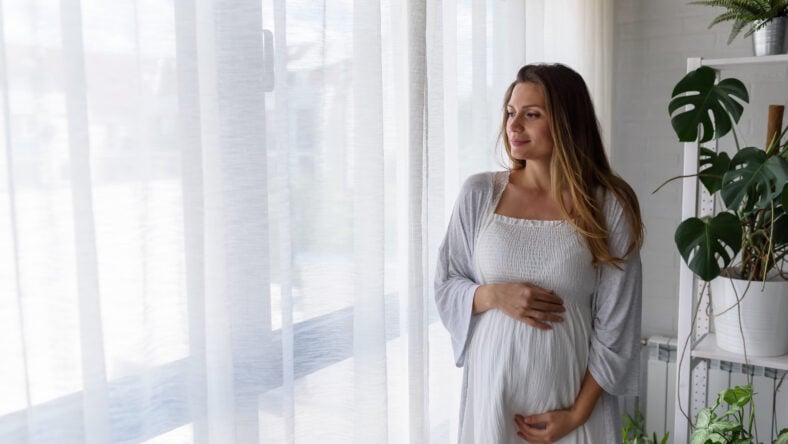 Portrait of a beautiful smiling pregnant woman looking through the window