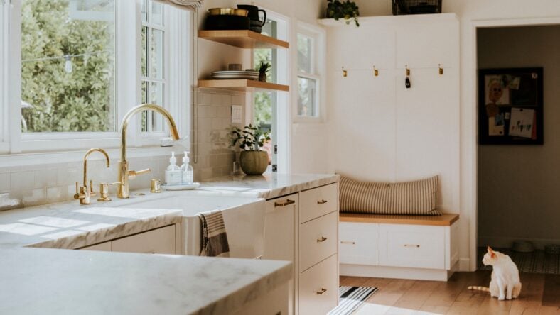 Golden kitchen faucet interior design
