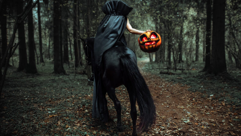 the rider is sitting astride a horse.