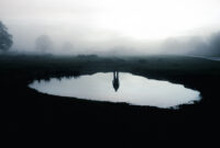 A haunted concept of the reflection of