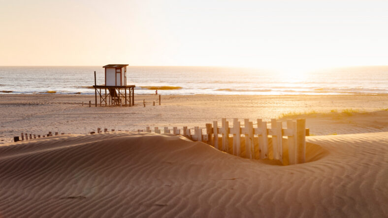 Beautiful morning of summer in the beach.