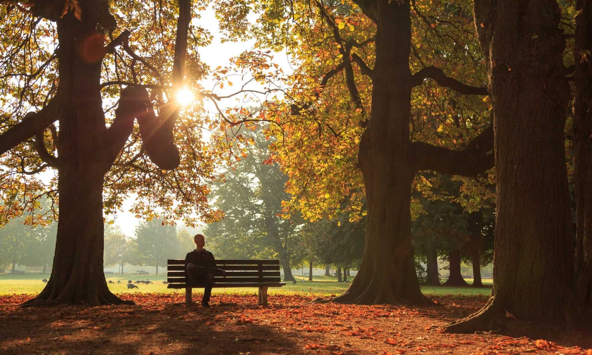 Three Teen Girls Tried To Embarrass Him In A Park, So He Came Close To Making One Cry With How He Stood Up For Himself
